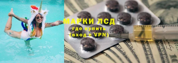 прущие грибы Баксан