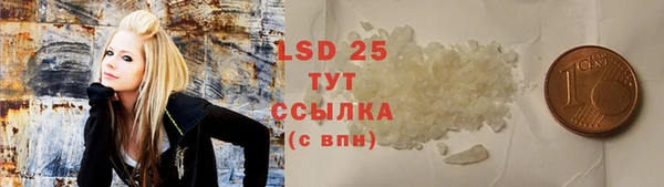 прущие грибы Баксан