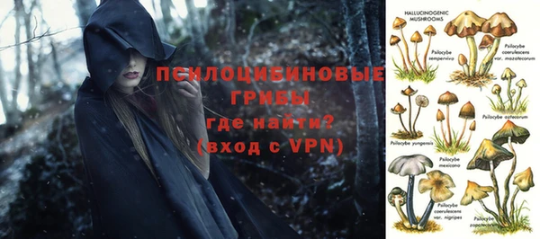 прущие грибы Баксан