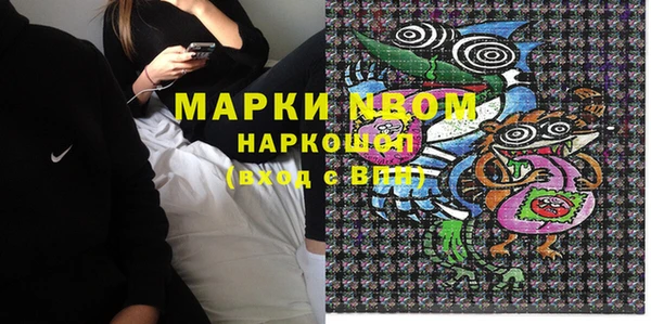 прущие грибы Баксан